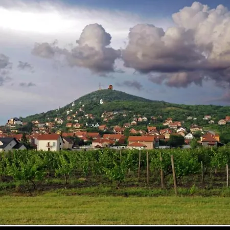 B&r Apartmans Lägenhet Vrsac